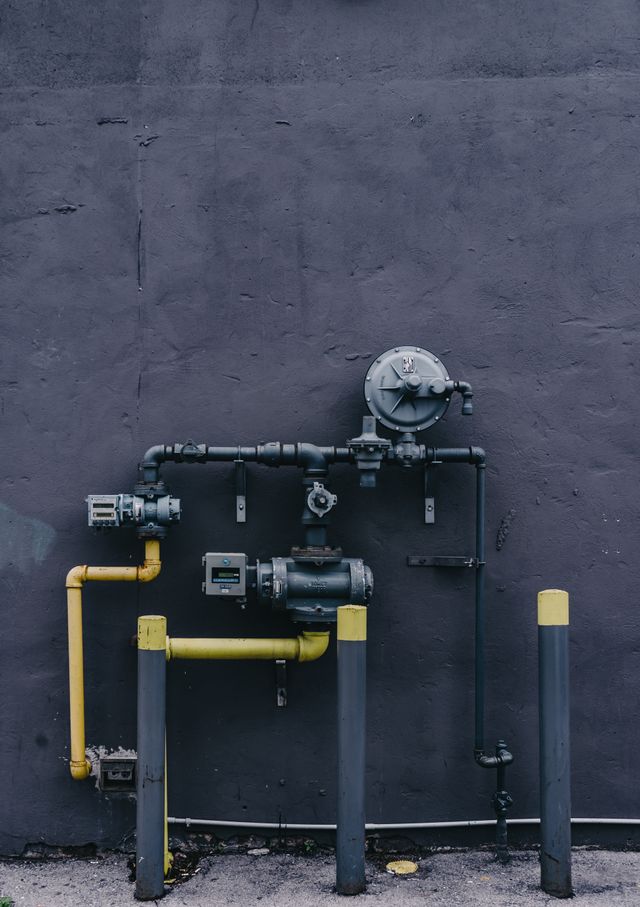 pexels scottwebb 1029635